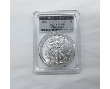 The obverse side features full length of Liberty in stride. She is shown wrapped in the folds of the flag of the United State