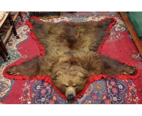 Full Russian brown bear skin, professionally re-backed, Circa 1915, 147cm x 163cm