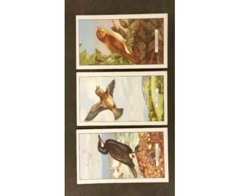 GALLAHER, complete (11+2), inc. British Birds, Butterflies & Moths, Trains, Army Badges (2), cinema (4+1), reprint (1) etc., 