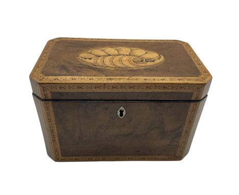 George III yew wood tea caddy with satinwood banding, the hinged cover inlaid with a large shell W19cm