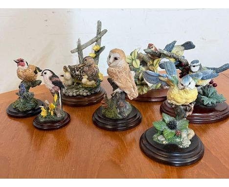 A selection of model birds, various makers country artist, Royal Doulton etc 