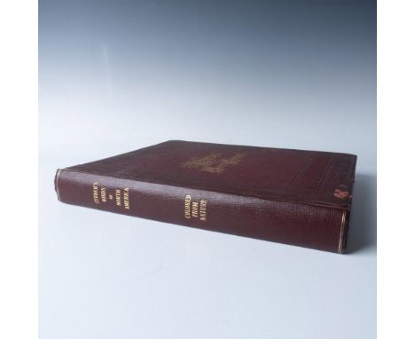 Outstanding folio edition Jacob Studer The Birds of North America: One hundred and nineteen artistic colored plates represent