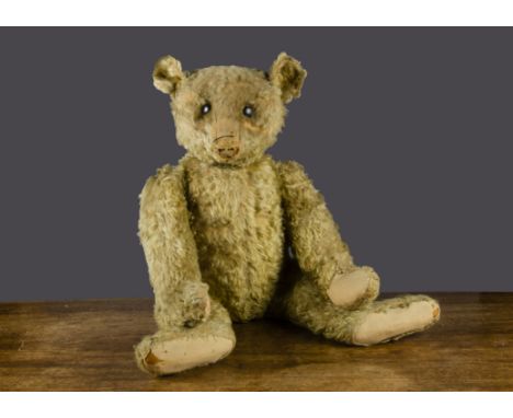 A large early Steiff teddy bear, with blonde mohair, black boot button eyes, pronounced clipped muzzle, remains of black stit