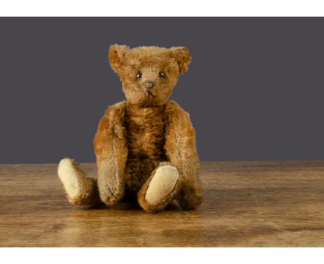 A small early Steiff cinnamon teddy bear, circa 1912, with black boot button eyes, pronounced clipped muzzle, black stitched 