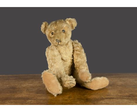 An early Steiff 43PAB cone-nose type Bearle teddy bear circa 1905, with apricot mohair, black boot button eyes, pronounced co