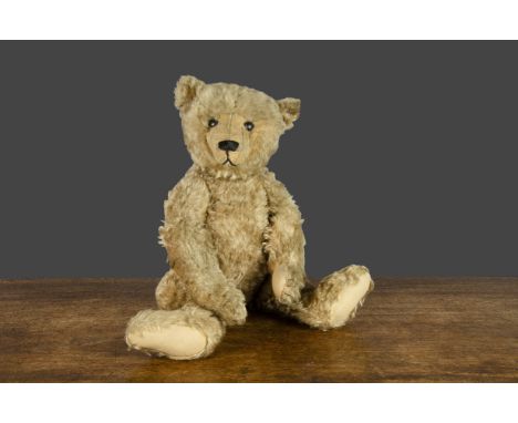 An early Steiff centre-seam teddy bear circa 1910,  with dark blonde mohair, black boot button eyes, pronounced clipped muzzl