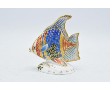 Royal Crown Derby paperweight Pacific Angel Fish, limited edition,  first quality with gold stopper.  In good condition with 