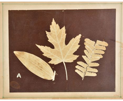 Himes (Charles F.). Leaf Prints: or Glimpses at Photography, 1st edition, Philadelphia, 1868,  albumen print photogram of a l