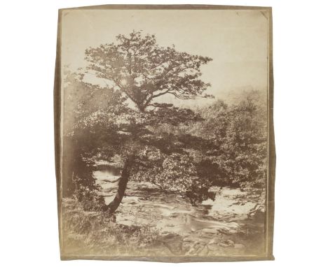 *Llewelyn (John Dillwyn, 1810-1882). River Dulais, Penllegare, 1850s,  albumen print from a wet collodian negative, untrimmed