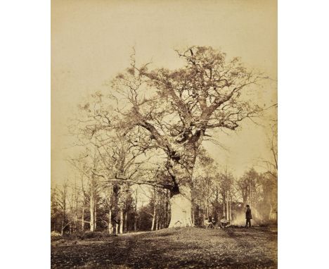 *Sinclair (James, 14th Earl of Caithness, attrib.). Parish boundary oak near Ascot Gate, 1864,  albumen print, plus four othe