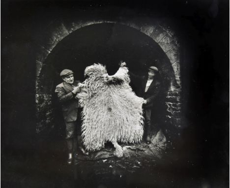 *Gowin (Emmet, born 1941). Sheep fleece, Yorkshire, 1972, & Button cards, Newtown, Pennsylvania, 1974,  vintage gelatin silve