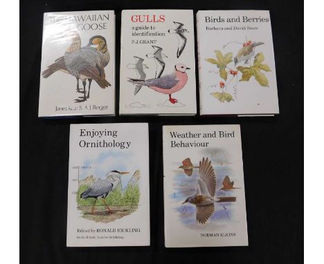 T R BIRKHEAD: THE MAGPIES, London, T &amp; A D Poyser, 1991, 1st edition, original cloth, d/w, vgc + HEIMO MIKKOLA: OWLS OF E
