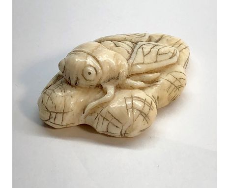 Fine Japanese Netsuke fig measures approx 58mm wide 