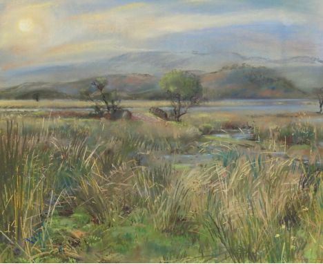 •ANTHONY ARMSTRONG (Scottish b. 1935)  LONG GRASSES, EARLY WINTER, LOCH LOMOND  Pastel, signed, 44 x 54cm (17 1/4 x 21 1/4") 