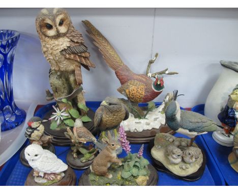 Country Artists - Woodpecker, Tawny Owl, Ring Necked Pheasant, etc.