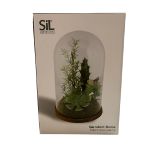 10 x Sil Interiors Succulent Dome