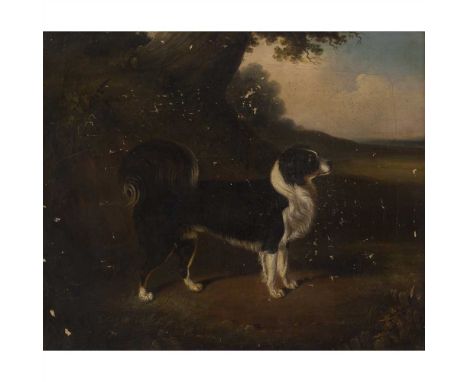 19TH CENTURY BRITISH SCHOOL PORTRAIT OF A DOG Oil on canvas (Dimensions: 50.5cm x 61cm (20in x 24in))(50.5cm x 61cm (20in x 2