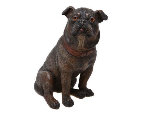 An Austrian painted terracotta model of a seated pug, early 20th century, portrayed looking upwards, a little to dexter, with