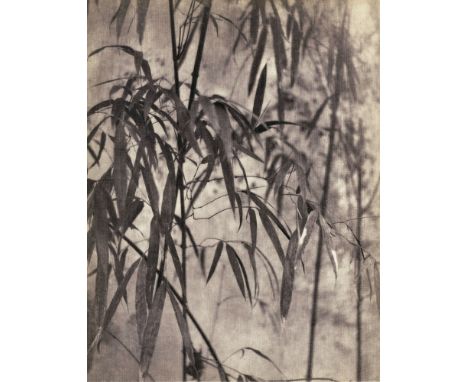 Artist: Chin-San Long [lang jingshan/lang ching-shan] (Chinese, 1892-1995). Title: "Feuilles de bambou". Medium: Original vin