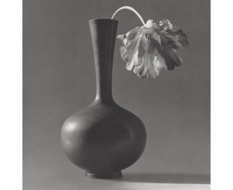 Artist: Robert Mapplethorpe (American, 1946 - 1989). Title: "Parrot Tulip in a Black Vase". Medium: Original vintage photogra