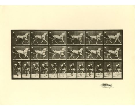 Artist: Eadweard Muybridge (English/American, 1830-1904). Title: "Trotting Horse with Sulky [from Animal Locomotion: Plate 67