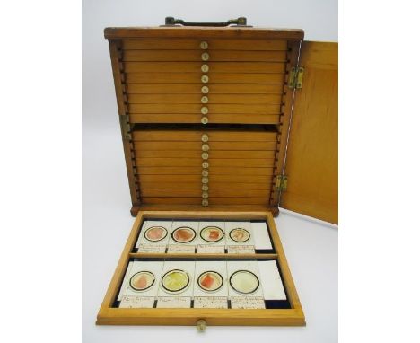 Approximately one hundred and fifty microscope slides to include examples with labels by Richard Suter, 5 Highweek Road, Tott