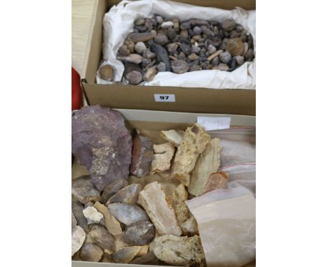 A quantity of mixed fossils from Eastern Saudi Arabia, Amazonian Amber and Neolithic Saudi Arabian flint tools