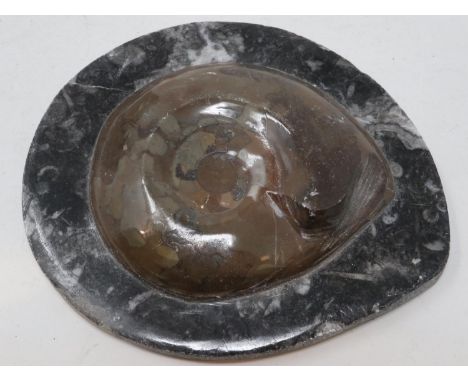 Polished fossil ammonite, L: 15 cm. UK P&amp;P Group 1 (£16+VAT for the first lot and £2+VAT for subsequent lots) 
