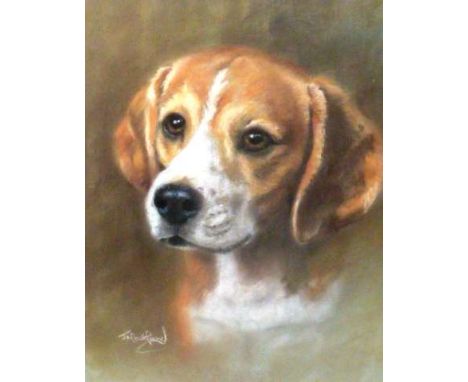 J*** MAITLAND
Portrait of a foxhound
Signed lower left, pastel, framed.
43cm by 34.5cm