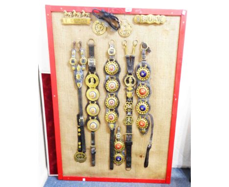 A wood and hessian display board set with a collection of horse brasses comprising 'E. Garth' and 'W. Bourne' maker's plates,