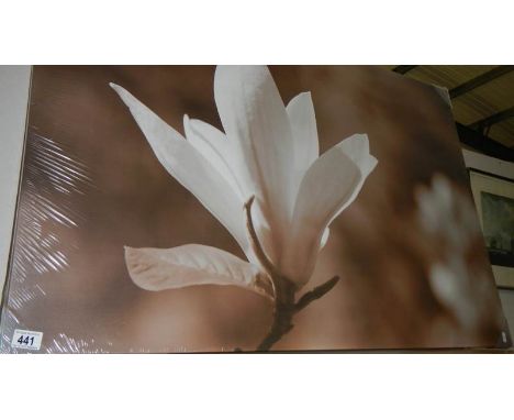 A large print on canvas.
