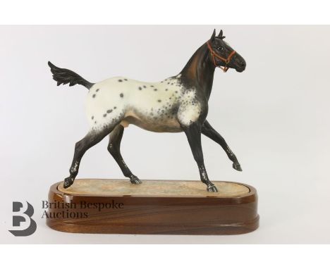 Royal Worcester equine figure, Appaloosa Stallion, by Doris Lindner, limited edition 140/750, on a wooden plinth, with framed