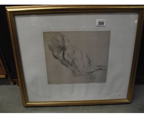 A Framed and glazed print, study of a male torso, Peter Paul Rubens 1577-1640