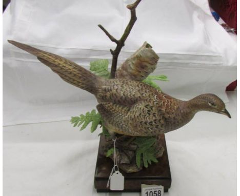 A superb Royal Worcester figure of a ring necked pheasant hen, signed.   (chip on tail feather) (Please note: due to the frag