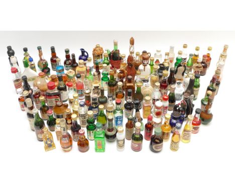 A large quantity of alcohol miniatures to include Gilbeys gin, Pickwick Scotch whisky, Leg Bender- Cheddar Gorge Cider Co and