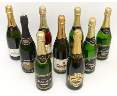 Nine bottles to include sparkling Perry, Cava and Prosecco 