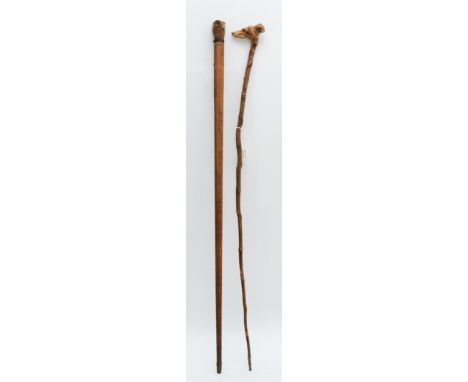 A late 19th century carved fruitwood walking stick, the carved dogs head terminal with glass bead eyes above the tapering can