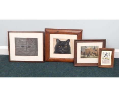 Ann Stoker.  Portrait of a cat, pencil heightened in white, 22cm x 27cm and various cat prints (4)