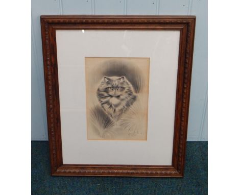 J W Hellings.  Portrait of a cat, pencil, and watercolour, 30cm x 21cm.