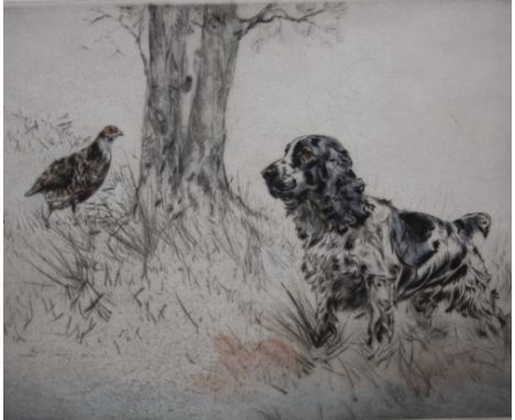 HENRY WILKINSON (1921-2011). Spaniel with game, etching in colours, signed in pencil, No 71/150, framed and glazed, 27.5 x 31