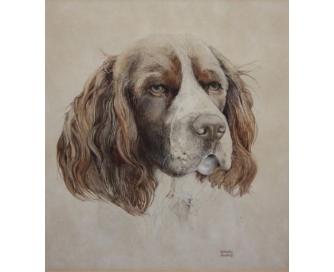 ROBERTA SCOTT (XX). Study of a spaniel, signed lower right, drawing / watercolour, framed and glazed, 22 x 19 cm, together wi