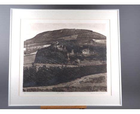 David Winfield, 1981: a signed limited edition etching, "Birk Bank", 3/50, in strip frame