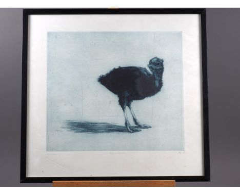 Helen Fay: an etching, "Ostrich Chick", in strip frame