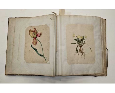 An early 19th Century album, of botanical, topographical and portrait watercolours and drawings by William Taylor, Helen Tayl