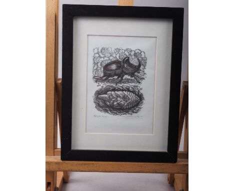 Richard Shirley Smith, 78: an artist signed proof wood engraving print, stag beetle, in ebonised frame 