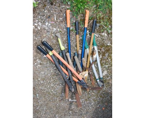 A quantity of garden tools, loppers, and shears. 