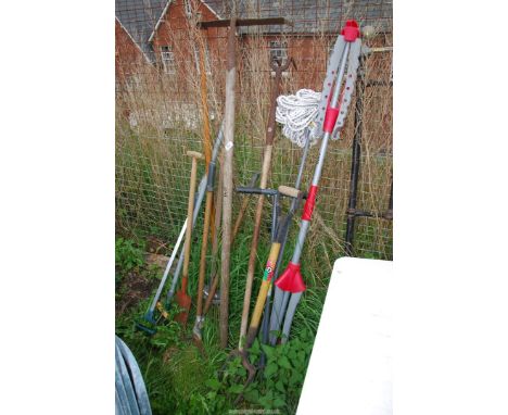 A variety of garden tools, including forks, spades, rake, mop and edging shears.