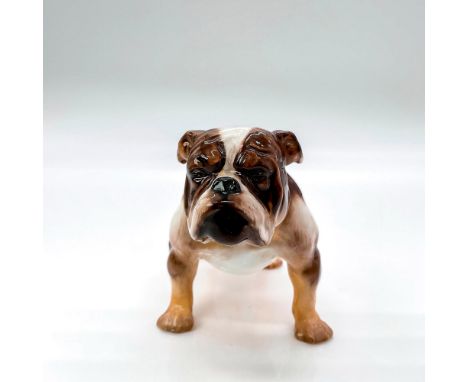 Modeled as a standing bulldog with light and dark brindle coloration; brown collar with gold studs. Hand written HN number. R