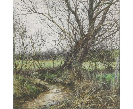 ▲ Martin Taylor (b.1954) 'Old Willow'signed 'Martin Taylor' l.r., watercolour25.5 x 24cmProvenance: With Brian Sinfield, Comp