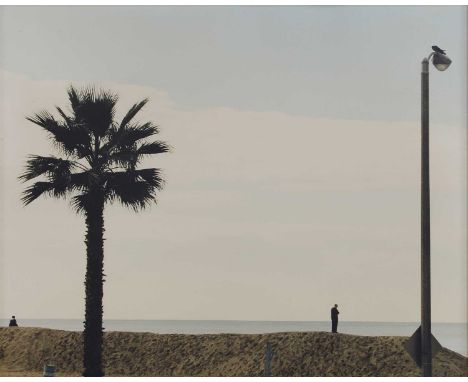 Dan Asher (American, 1947-2010) Untitled, beach scene with palm tree and lamp postC-type print, 1997visible 49 x 59cmConditio